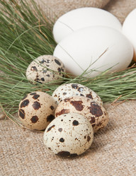 Similar image 1776302