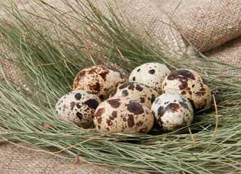 Similar image 1776304