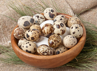 Similar image 1776305