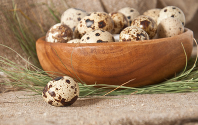 Similar image 1776320