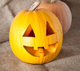 Similar image 1776321