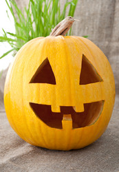 Similar image 1776334