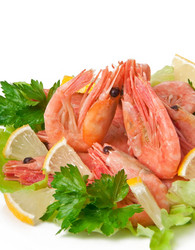 Similar image 1776336