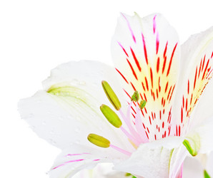 Similar image 1776438