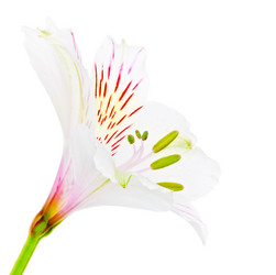 Similar image 1776499