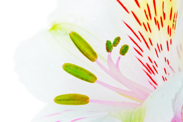 Similar image 1776535