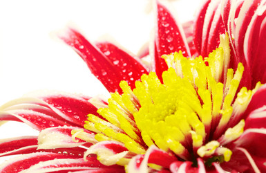 Similar image 1776536