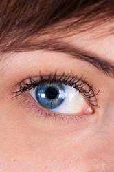 Similar image 1776575