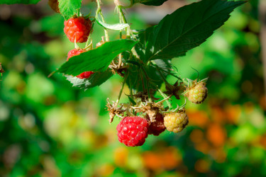 Similar image 1776619