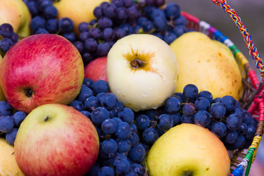 Similar image 1776679