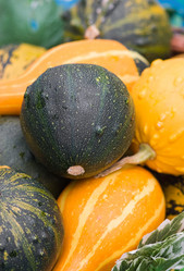 Similar image 1776683