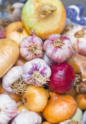 Similar image 1776685