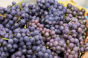 Similar image 1776695