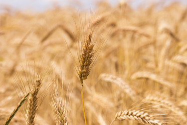 Similar image 1776714