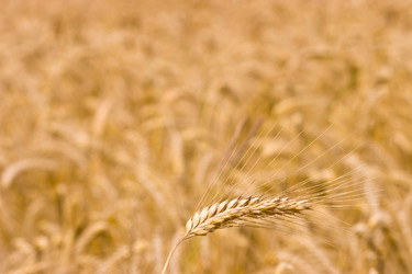 Similar image 1776715