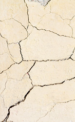 Similar image 1776731