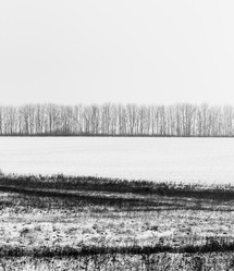 Similar image 1776733