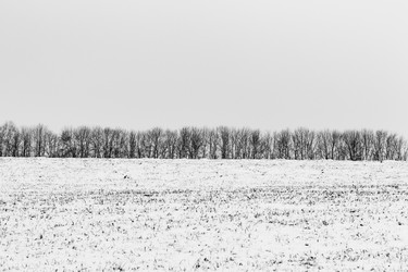 Similar image 1776735