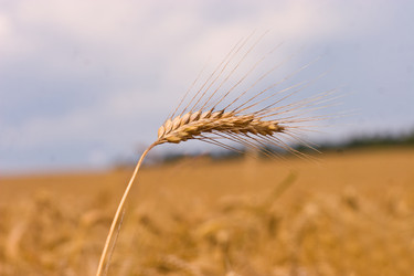 Similar image 1776738