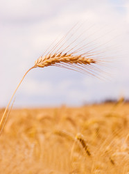 Similar image 1776749