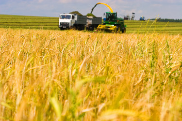 Similar image 1776750