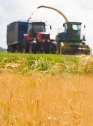 Similar image 1776752