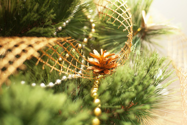 Similar image 1776760