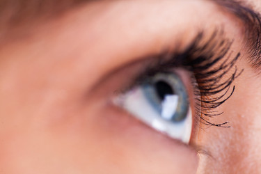 Similar image 1776817