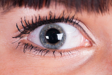 Similar image 1776819