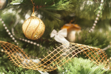 Similar image 1776820