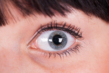 Similar image 1776822