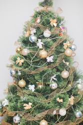 Similar image 1776828