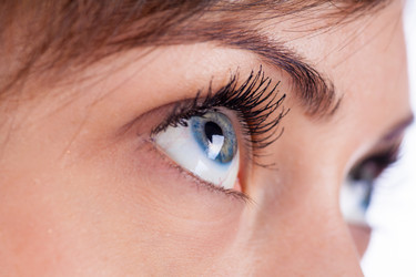 Similar image 1776855