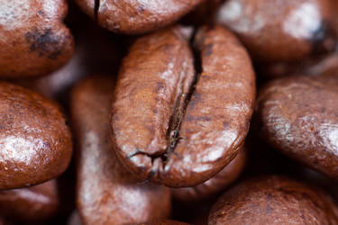 Similar image 1776929