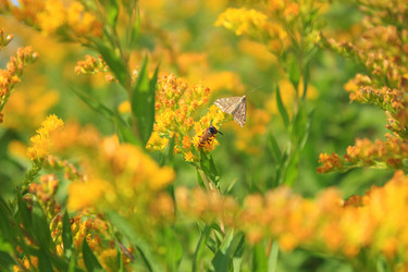 Similar image 1777053