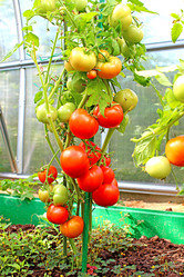 Similar image 1777055