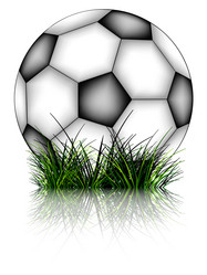 Similar image 1777198