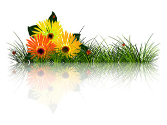 Similar image 1777254