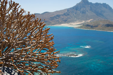 Similar image 1777280