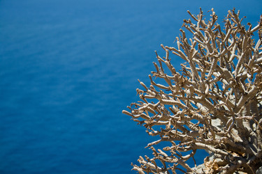 Similar image 1777281