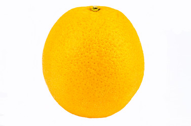 Similar image 1777350