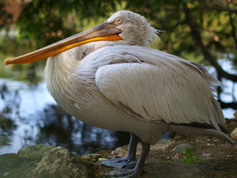 Similar image 1777473