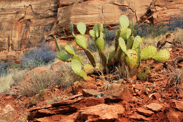 Similar image 1777603