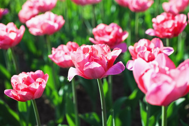 Similar image 1777760