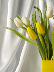 Similar image 1777791