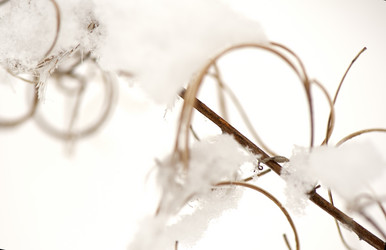 Similar image 1777792