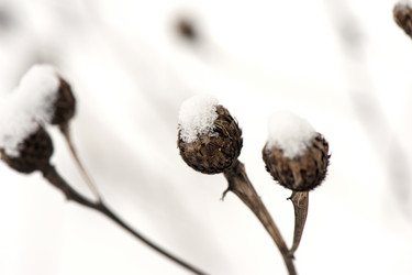 Similar image 1777797