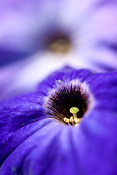 Similar image 1777800