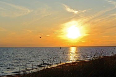 Similar image 1777803