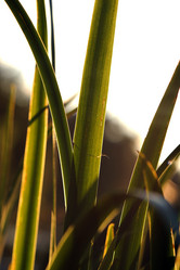 Similar image 1777808